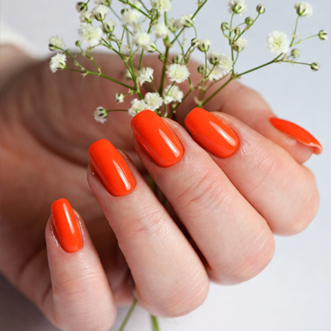 shellac nails Clevedon
